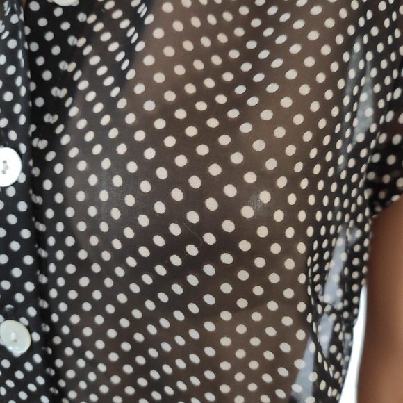 Vintage sheer Polka Dot maxi dress - Picture 5 of 10